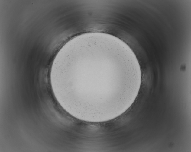 X0000115760302200912241734