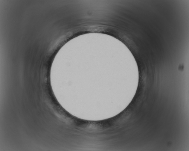 X0000115760303200912241734