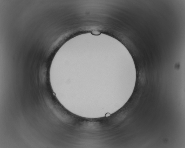 X0000115760304200912241734