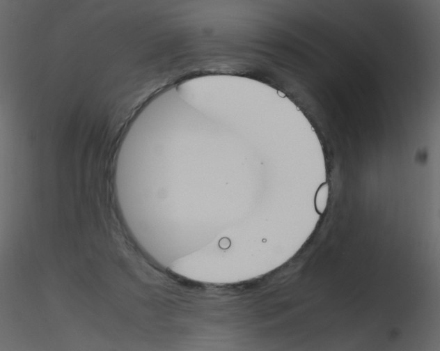 X0000115760305200912241734