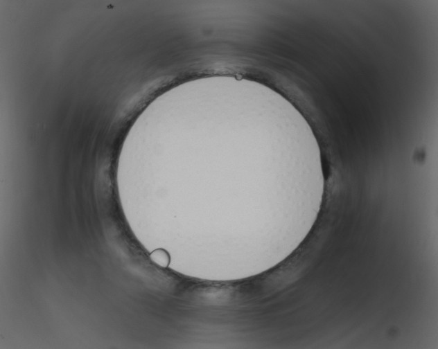 X0000115760306200912241734