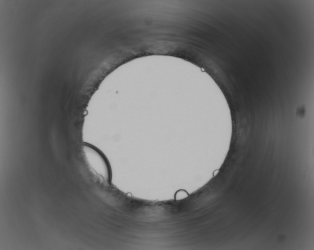 X0000115760307200912241734
