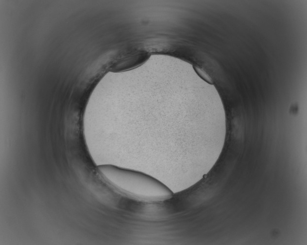 X0000115760308200912241734