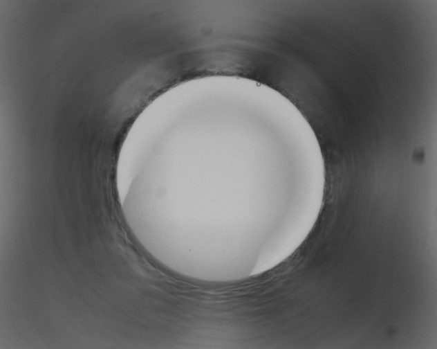 X0000115760309200912241734