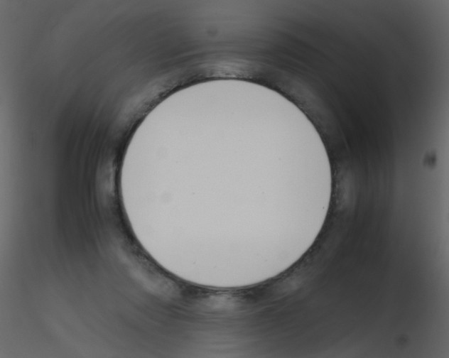 X0000115760310200912241734