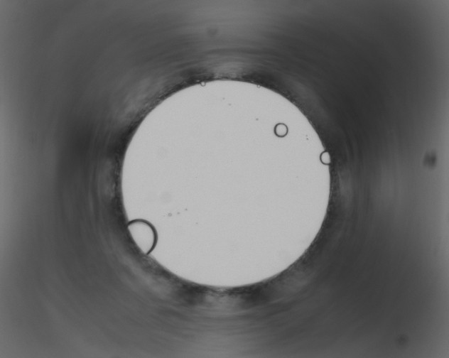 X0000115760311200912241734