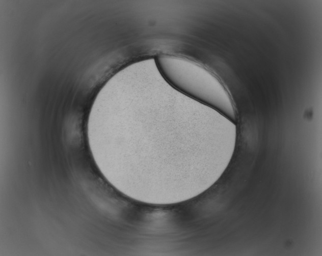 X0000115760312200912241734