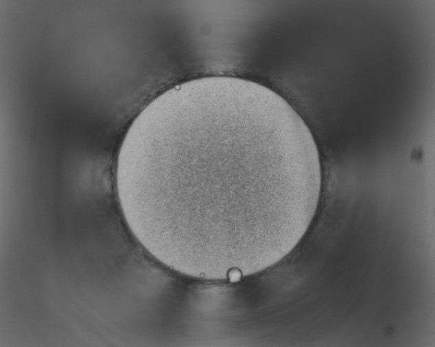 X0000115760313200912241734