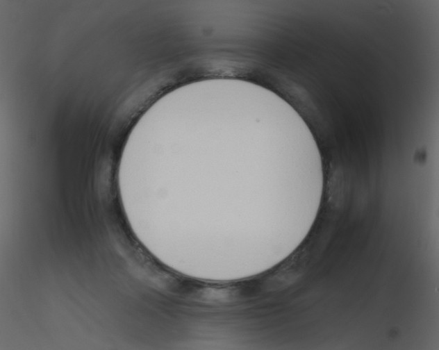 X0000115760314200912241734