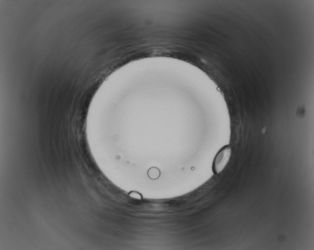 X0000115760316200912241734