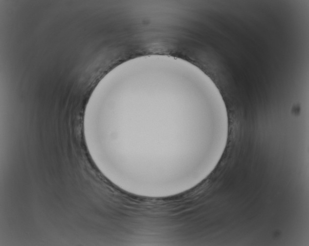 X0000115760317200912241734