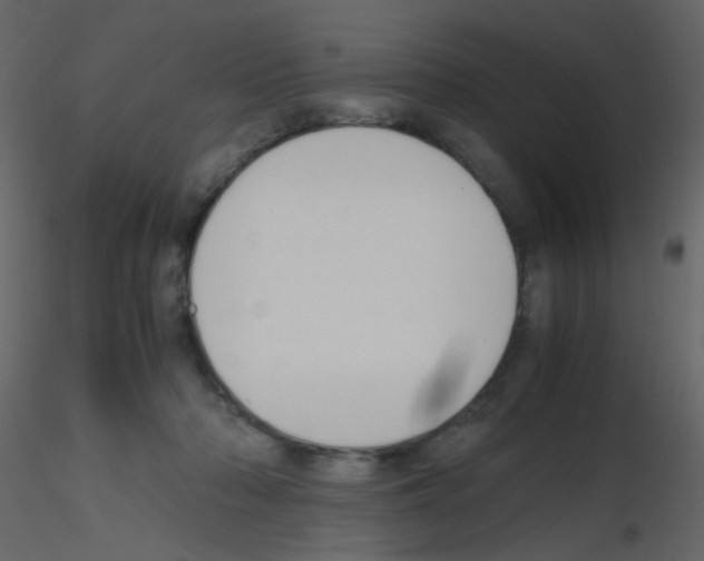 X0000115760318200912241734
