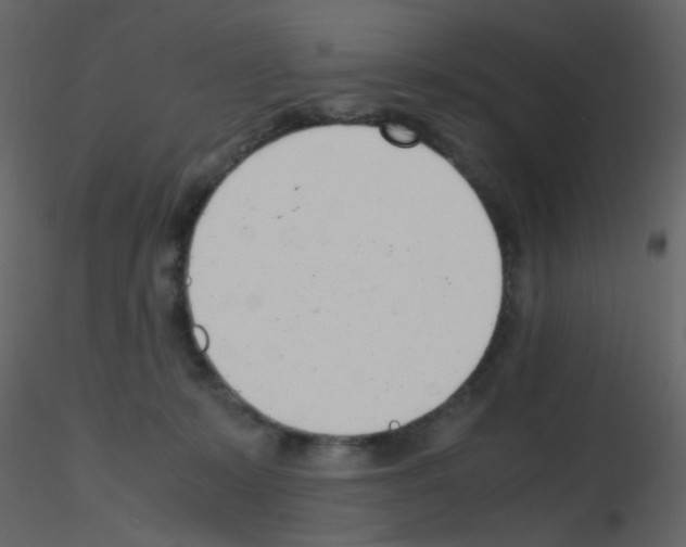 X0000115760319200912241734