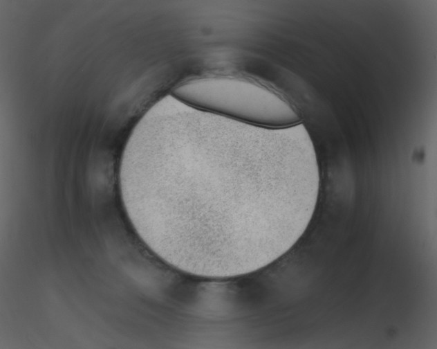 X0000115760320200912241734