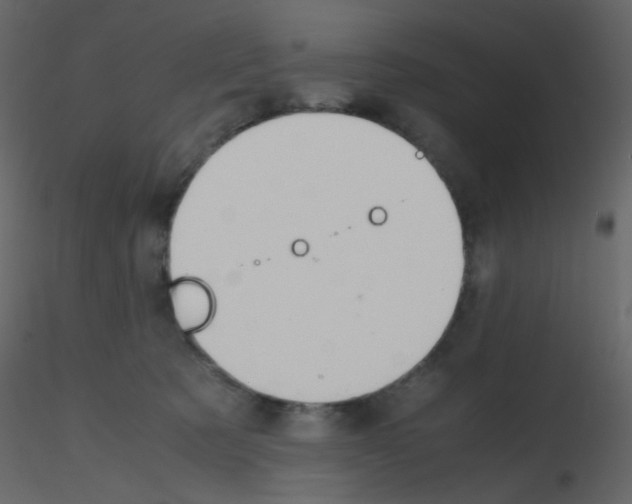 X0000115760321200912241734