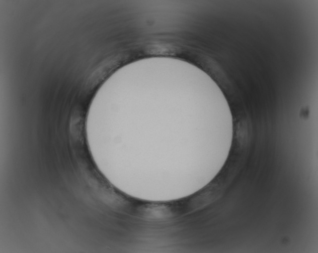 X0000115760322200912241734