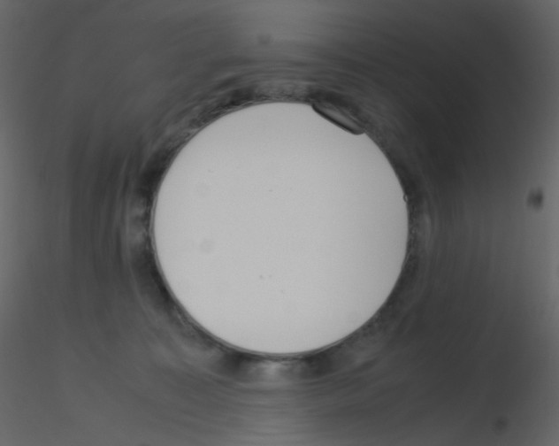 X0000115760323200912241734