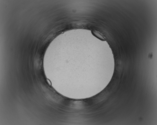 X0000115760324200912241734