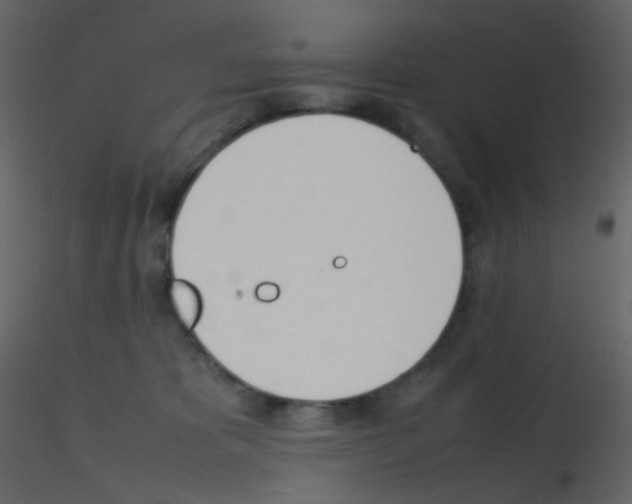 X0000115760325200912241734