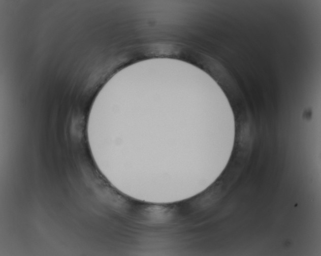 X0000115760326200912241734