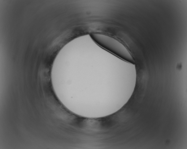 X0000115760327200912241734