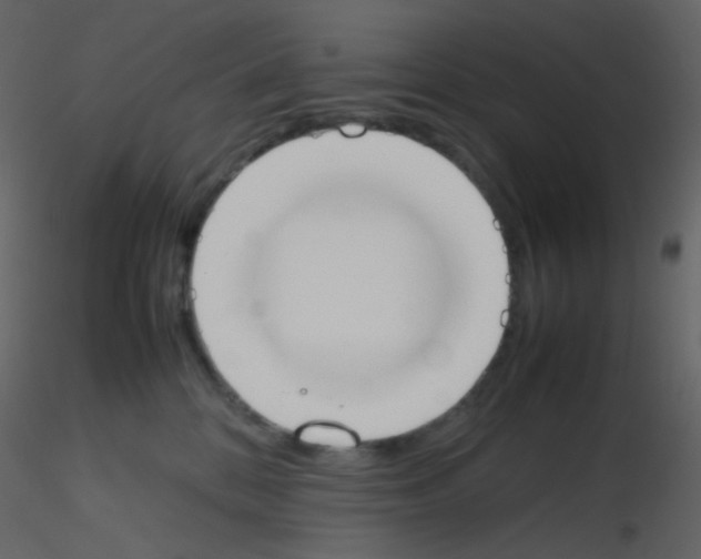 X0000115760328200912241734
