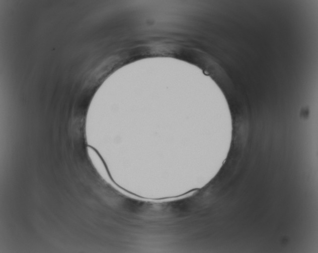 X0000115760329200912241734