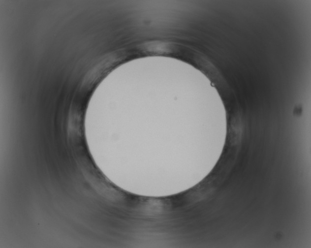 X0000115760330200912241734