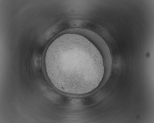 X0000115760332200912241734