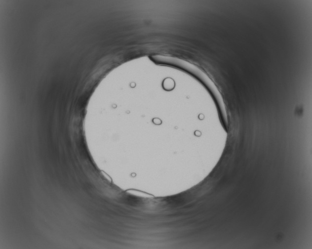 X0000115760333200912241734