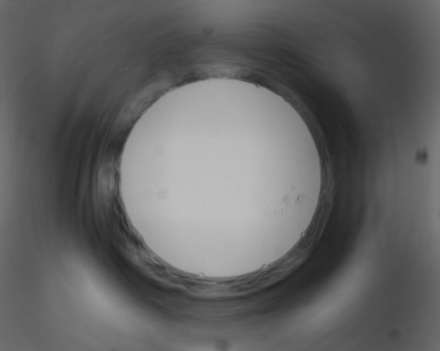 X0000115760334200912241734