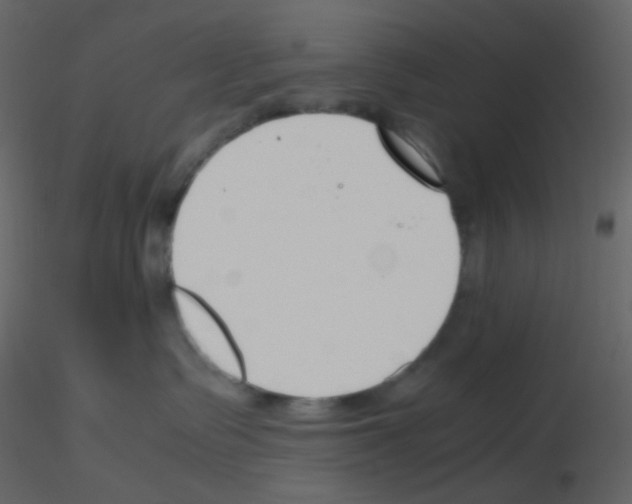 X0000115760335200912241734