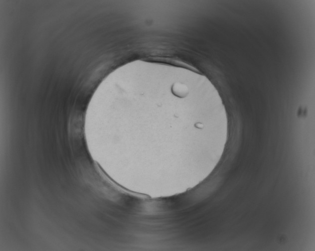 X0000115760336200912241734
