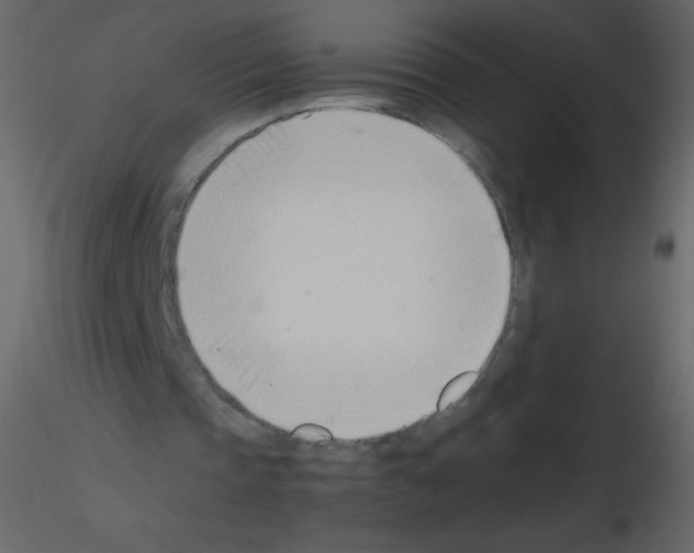 X0000115760337200912241733
