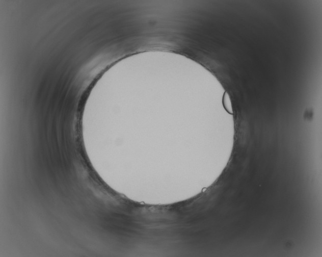 X0000115760338200912241733
