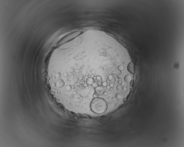 X0000115760339200912241733