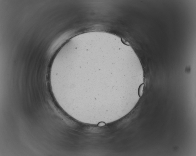 X0000115760341200912241733