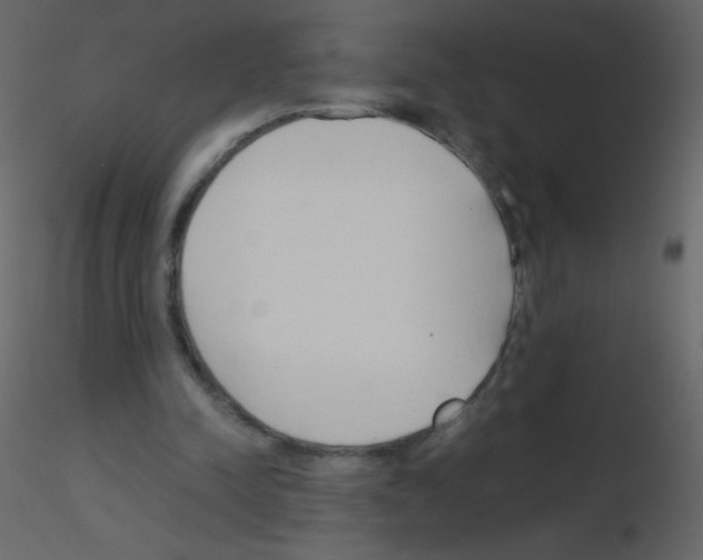 X0000115760342200912241733