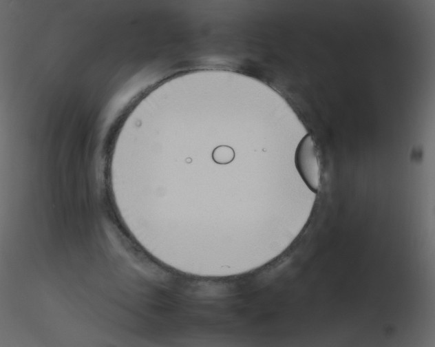 X0000115760343200912241733