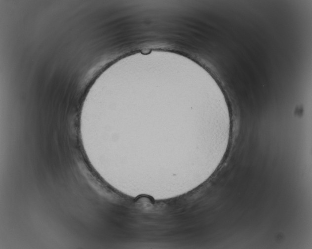 X0000115760345200912241733