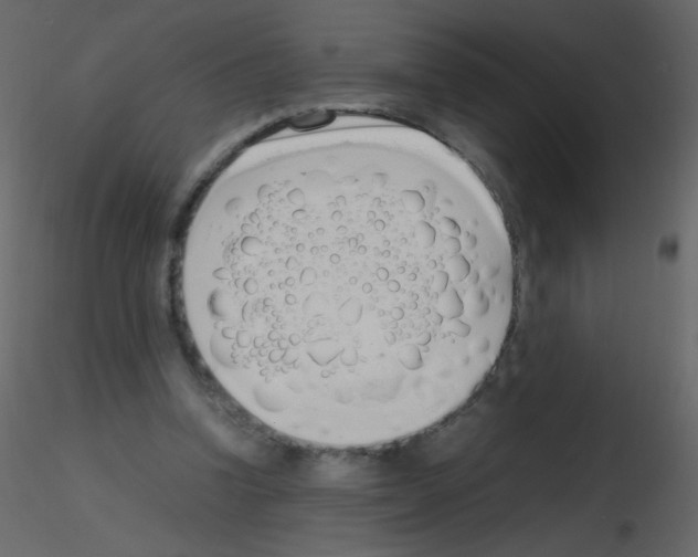 X0000115760346200912241733