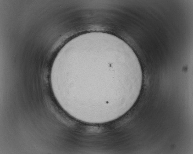 X0000115760347200912241733