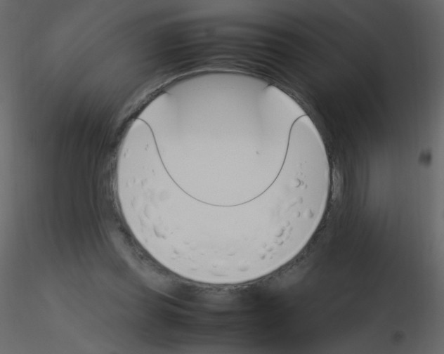 X0000115760349200912241733