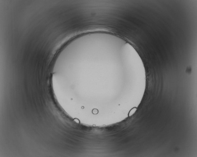 X0000115760350200912241733