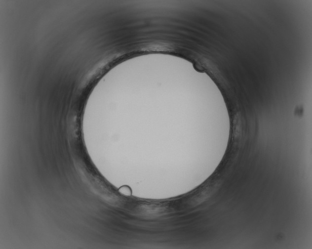 X0000115760351200912241733