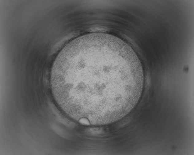 X0000115760353200912241733