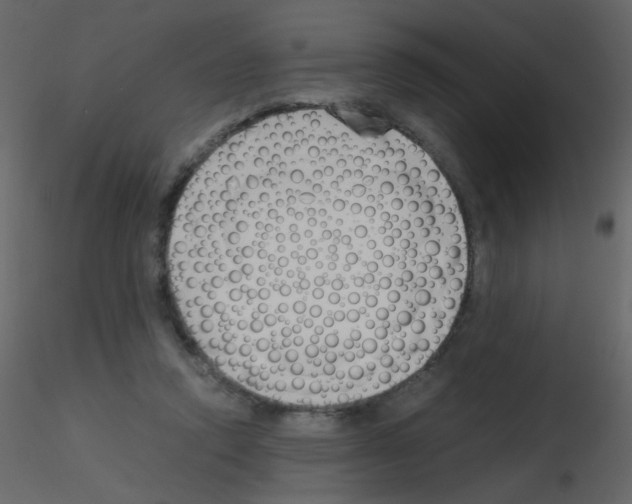 X0000115760354200912241734
