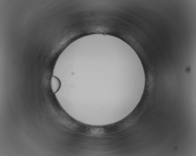 X0000115760355200912241734