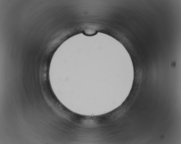 X0000115760358200912241734