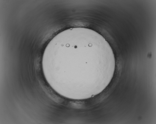 X0000115760359200912241734